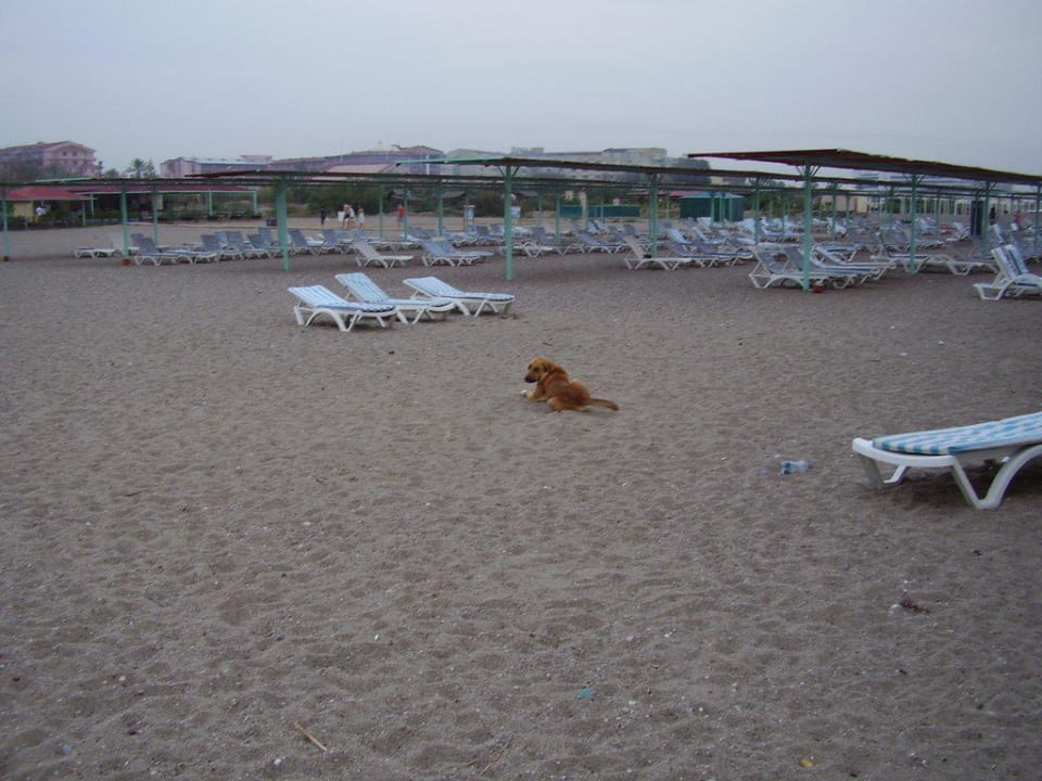 Strand Asteria Family Resort Side