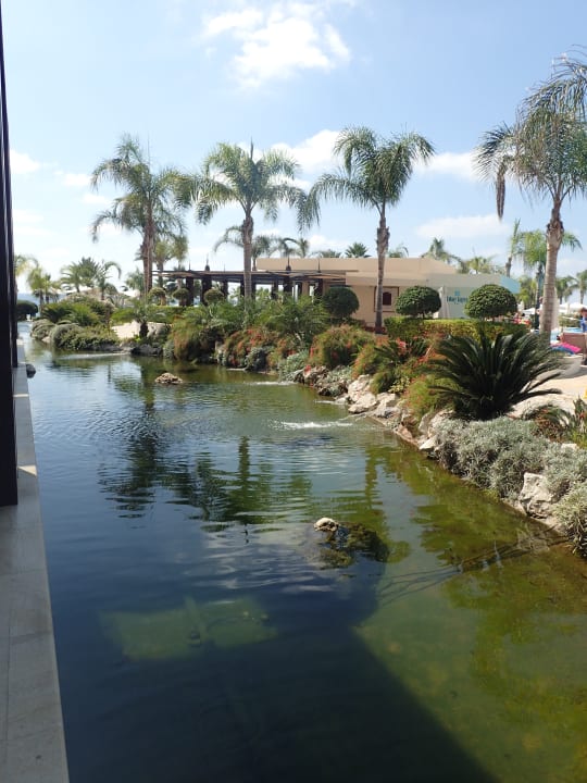 Gartenanlage Olympic Lagoon Resort Paphos