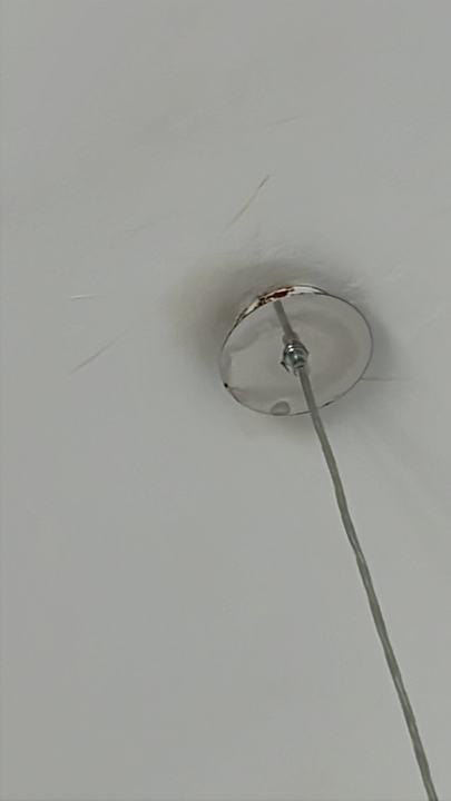 Zimmer Globales Don Pedro