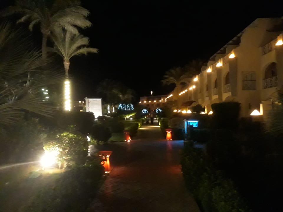 Gartenanlage Prima Life Makadi Resort