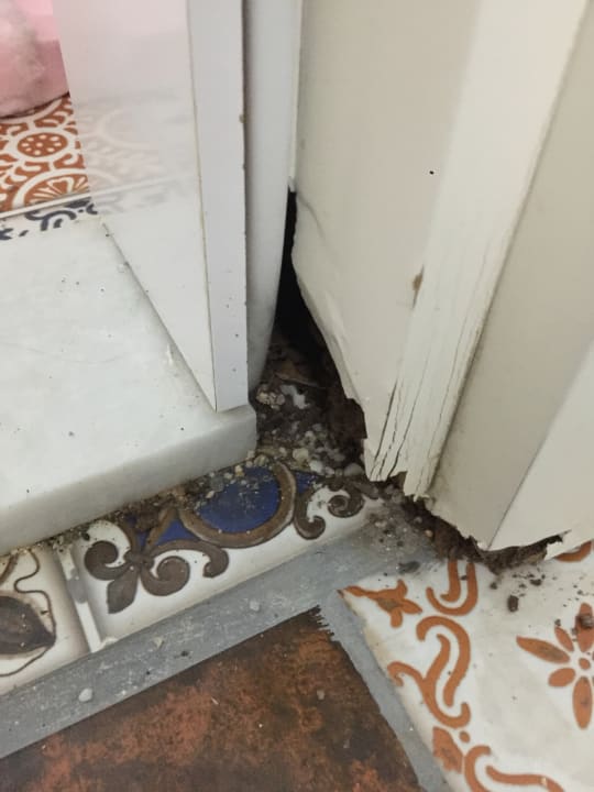 Zimmer Club Hotel Anjeliq