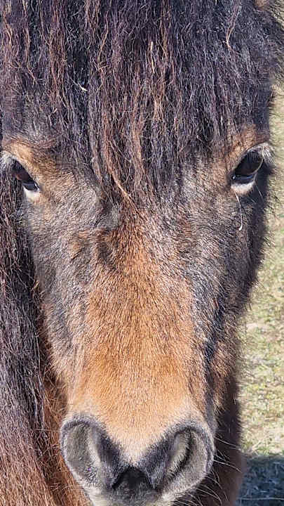 Gartenanlage Reiters Finest Family Hotel