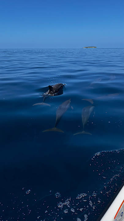 Sonstiges Meeru Maldives Resort Island