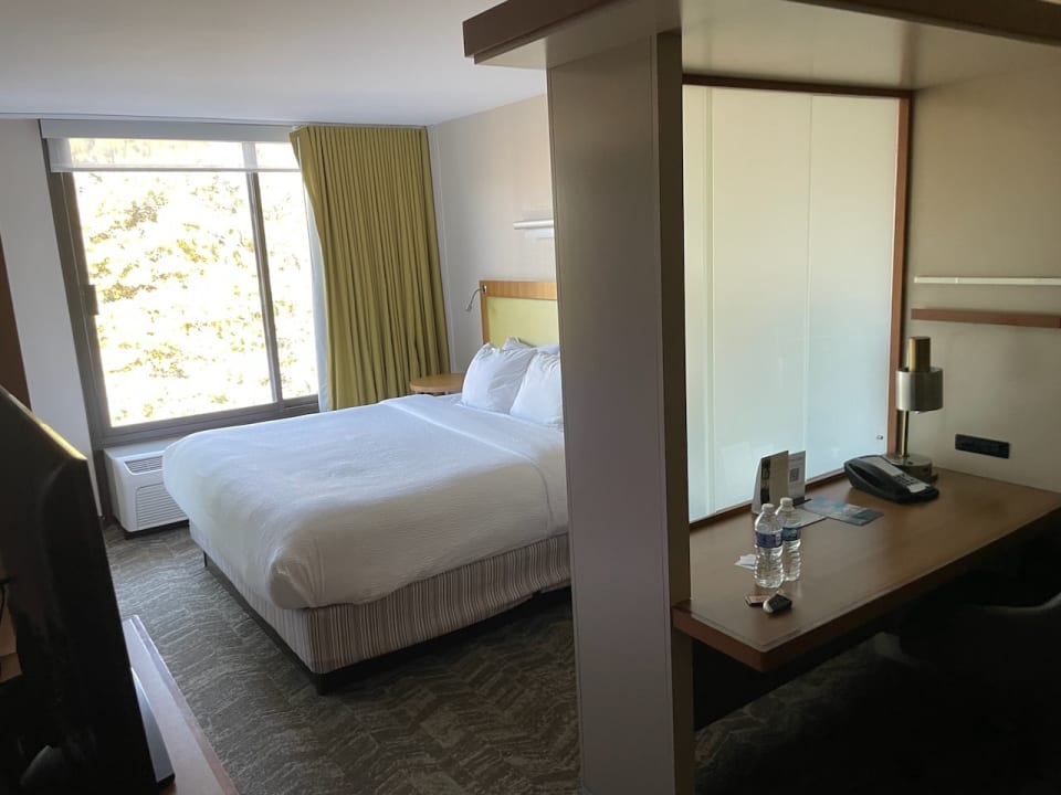 Zimmer SpringHill Suites by Marriott Flagstaff