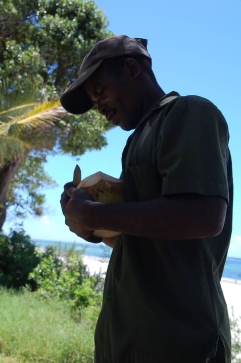 Frische Kokosnuss von der Palme Baobab Beach Resort & Spa