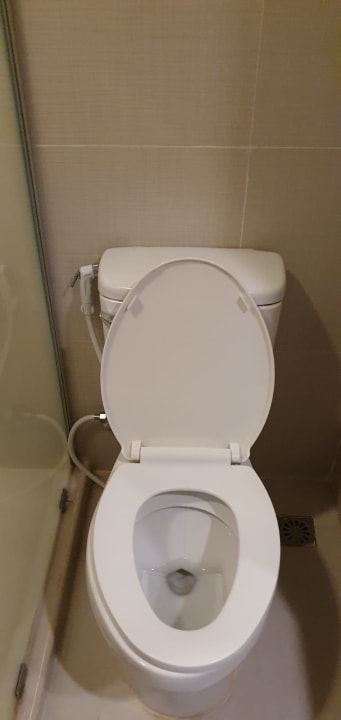 Zimmer The Green Park Resort