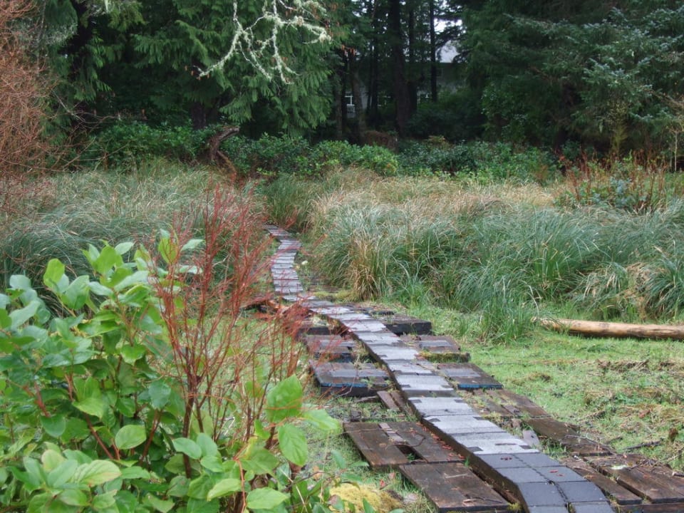 Der Weg von der Lodge zum Inlet Jamie's Rainforest Inn