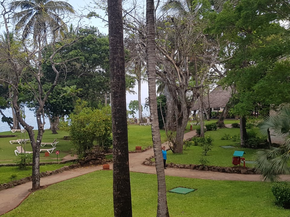 Ausblick Baobab Beach Resort & Spa