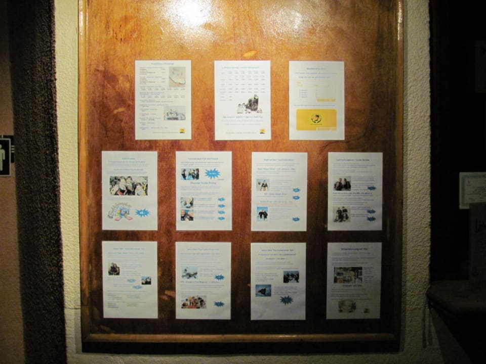 Tauchen Eagles Paradise Abu Soma