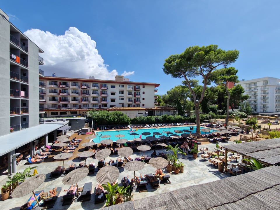 Pool Caramelo Palma Beach