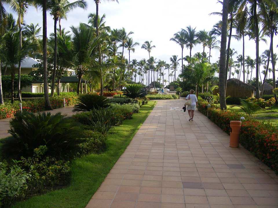 Blick aus Lobby in den Garten Richtung Meer Grand Sirenis Punta Cana Resort & Aquagames