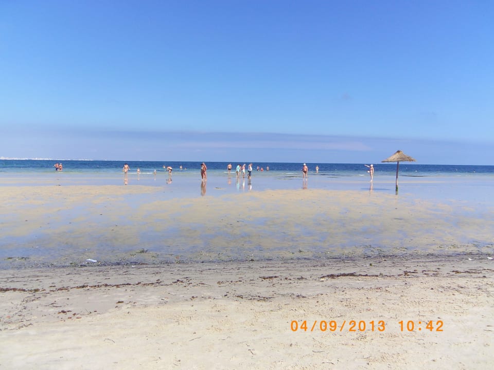 Fast wie Karibik Hotel Rosa Beach