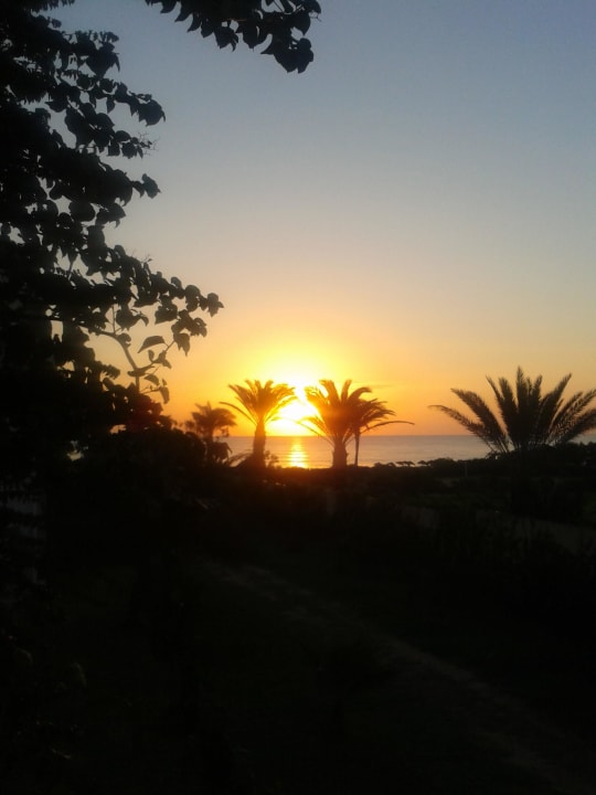 Morgendlicher Blick vom Balkon Mahdia Beach & Aquapark