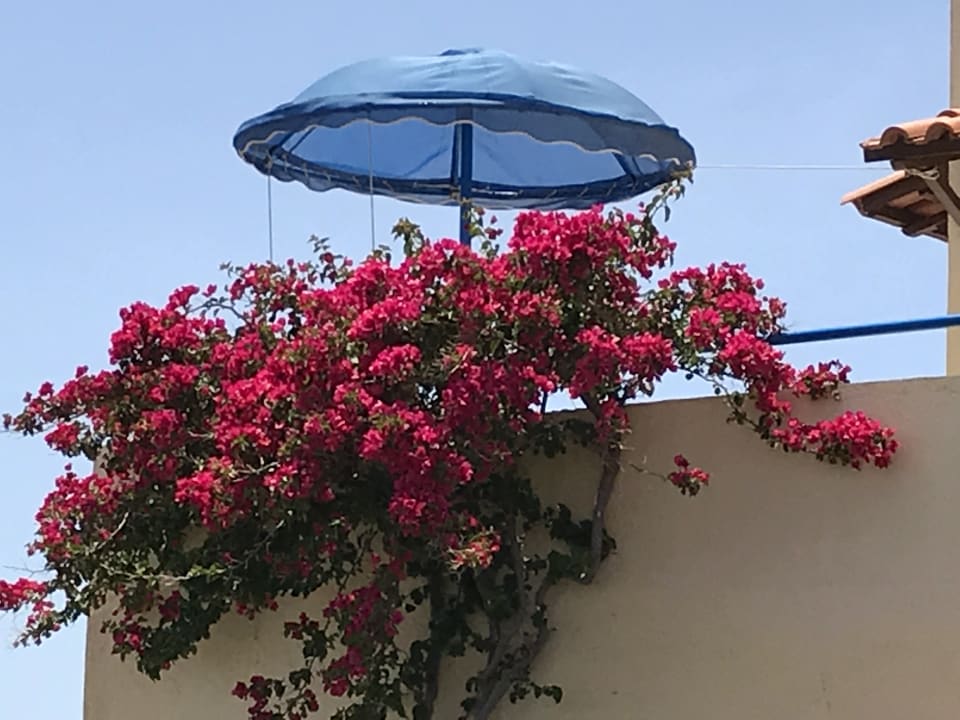 Sonstiges Aparthotel Elounda Heights