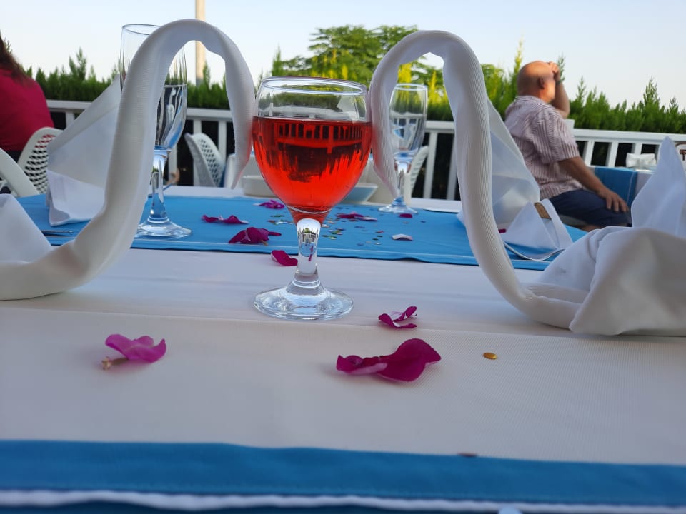 Gastro Can Garden Beach