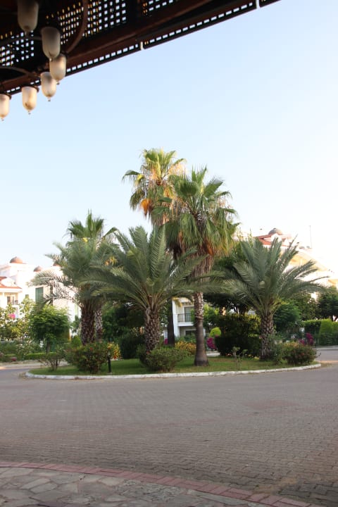 Außenansicht Hotel Defne Dream