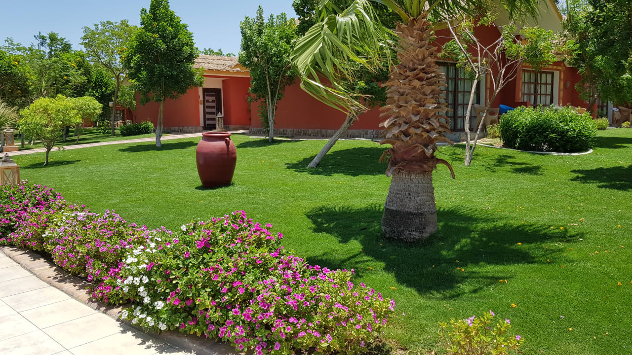 Gartenanlage Pickalbatros Jungle Aqua Park Resort - Neverland Hurghada