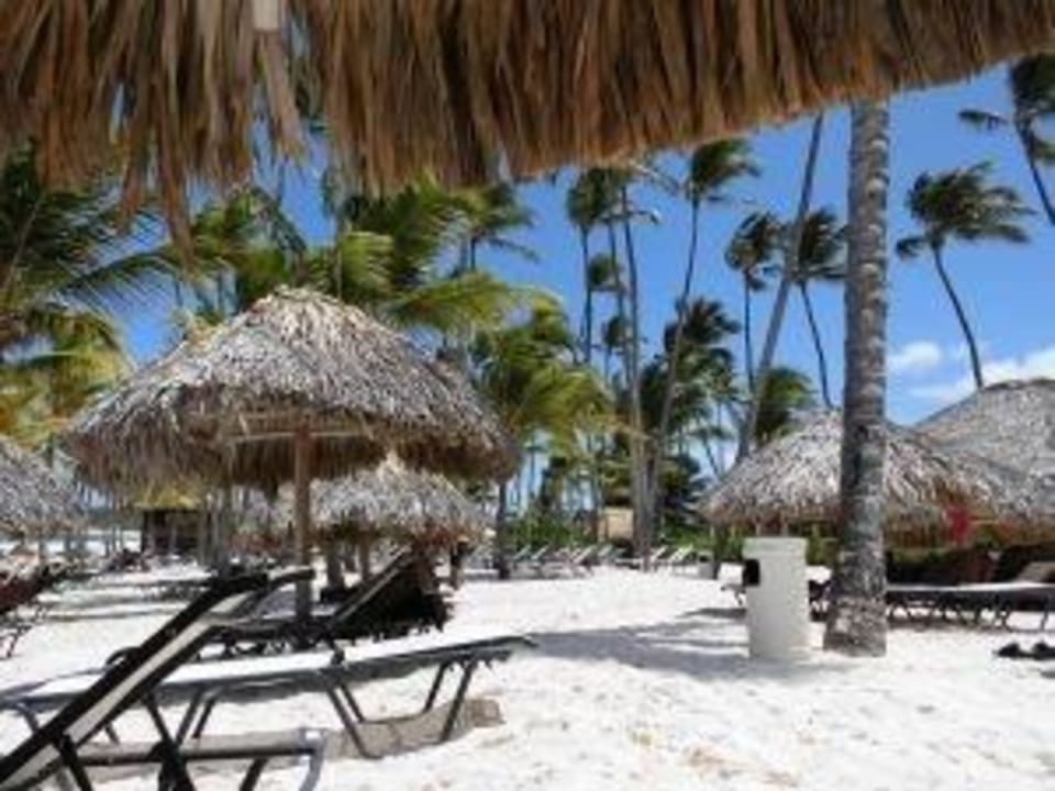 Aussicht von einer Liege Secrets Royal Beach Punta Cana - Adults only