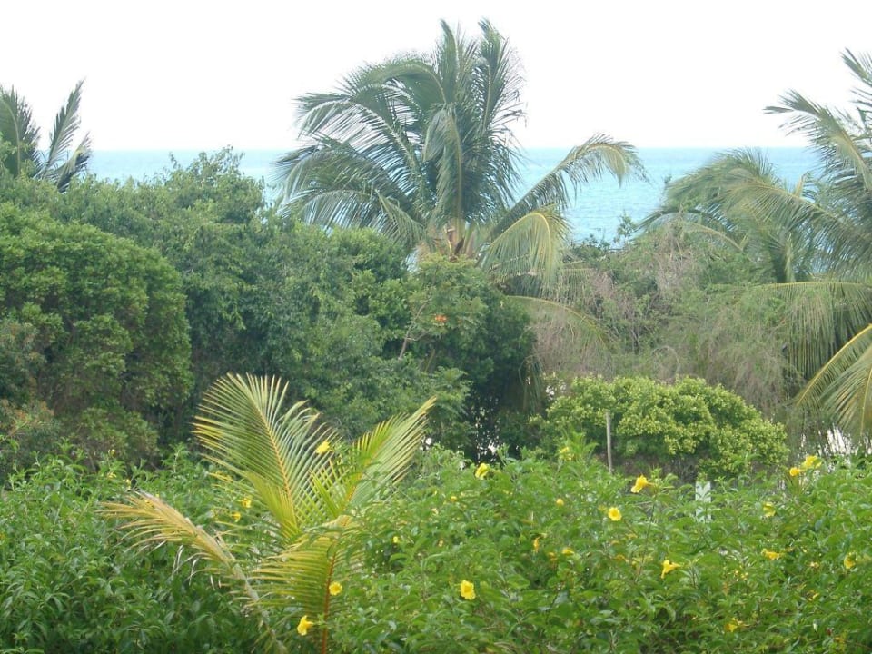 Außenbereich Sol Rio De Luna y Mares