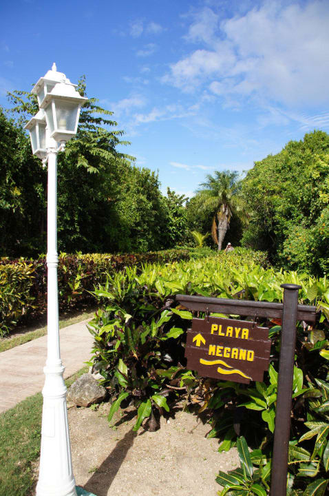 Garten im Parksuitebereich mit Eingang zum Strand Iberostar Selection Ensenachos