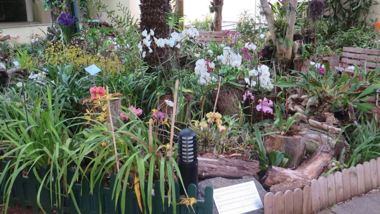 Gartenanlage Hotel Porto Mare - PortoBay