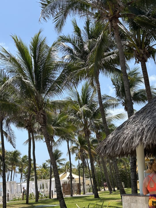 Gartenanlage Iberostar Waves Tucan