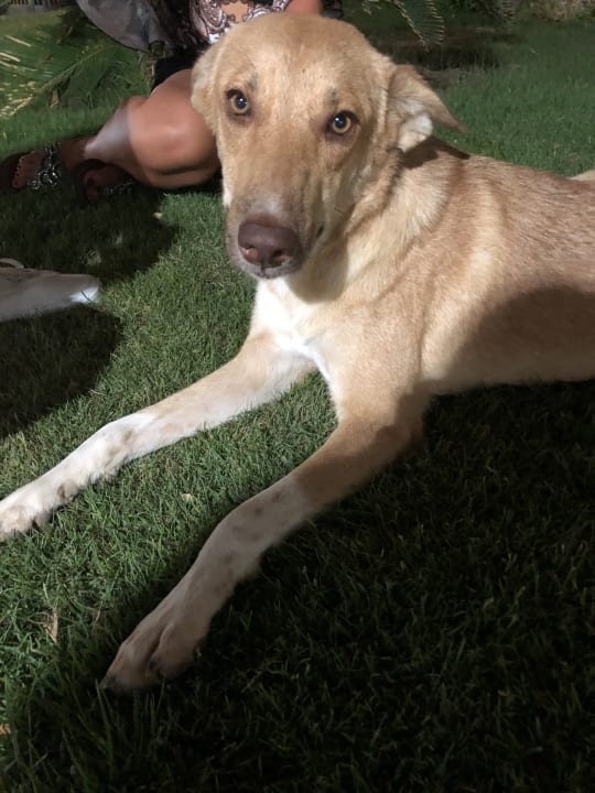 Sonstiges Steigenberger Aqua Magic