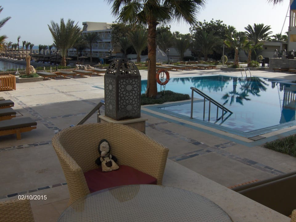 Mull waiting for red wine Royal Star Beach Resort