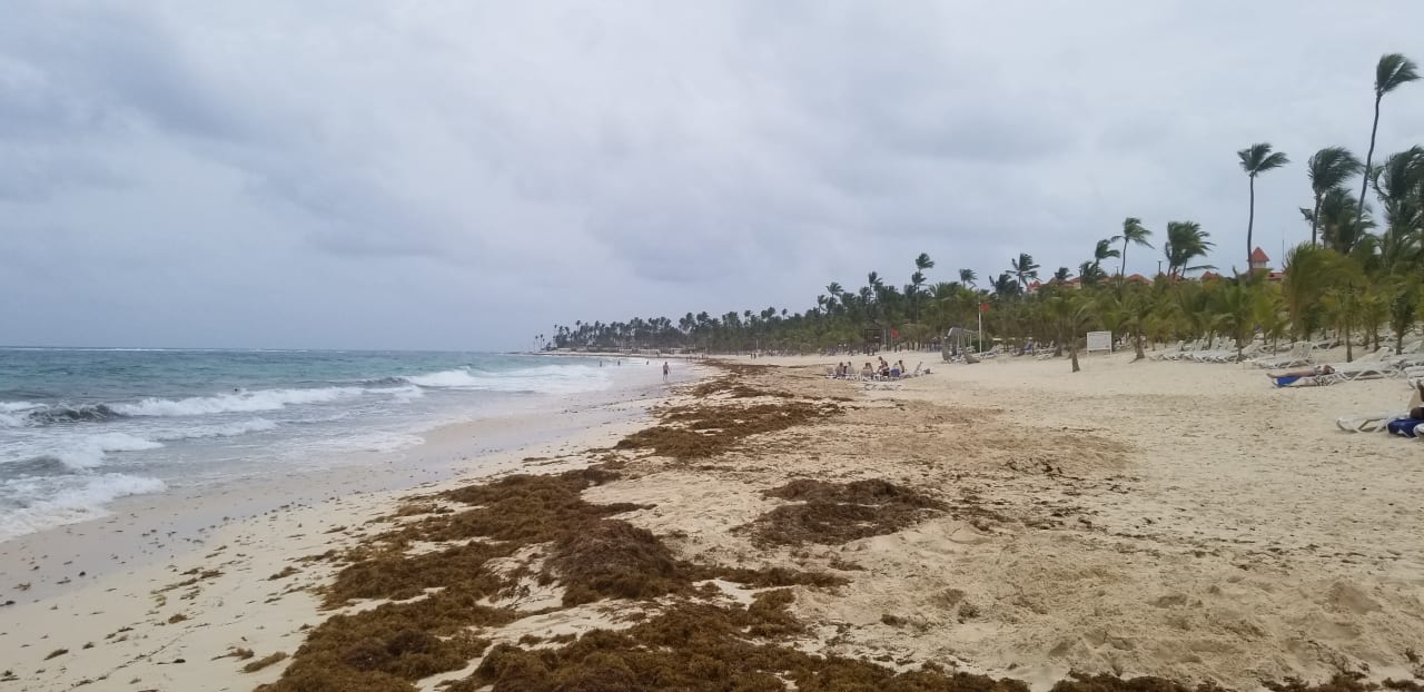 Strand Hotel Riu Republica - Adults only