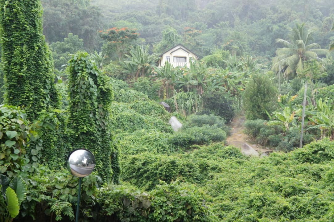 Vom Resort über die Straße der Blick Hilton Seychelles Northolme Resort & Spa