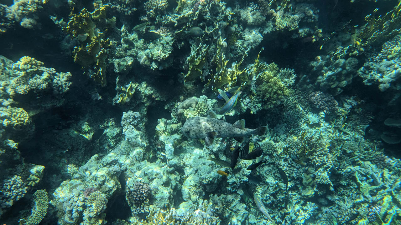 Strand Casa Mare Resort