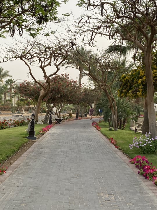 Gartenanlage Steigenberger ALDAU Beach Hotel