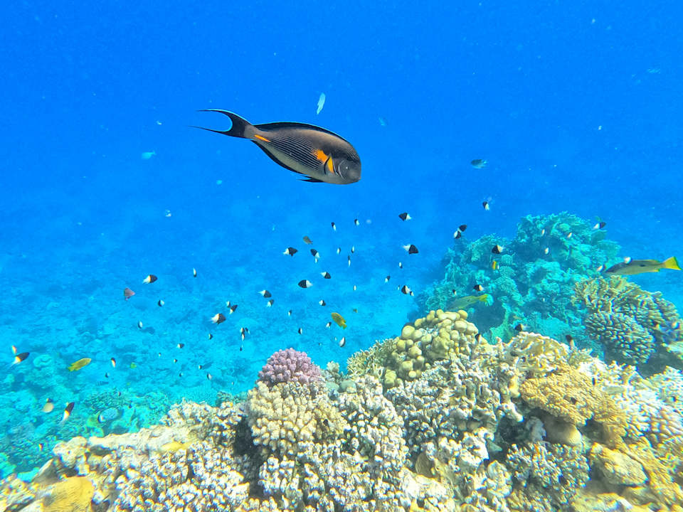 Strand Serenity Alpha Beach