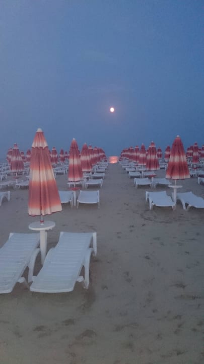 Liegen Hotel Borjana