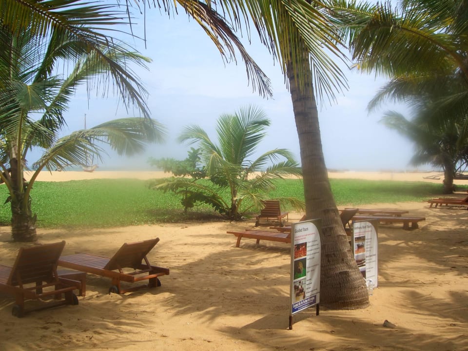 Strand. Hotel Jetwing Beach