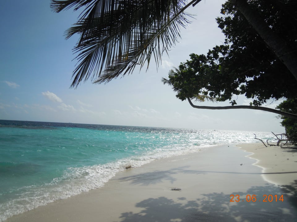 48 Biyadhoo Island Resort