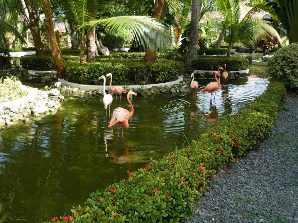 Eingangsbereich zur Lobby des Bavaro Grand Palladium Select Bávaro Resort & Spa