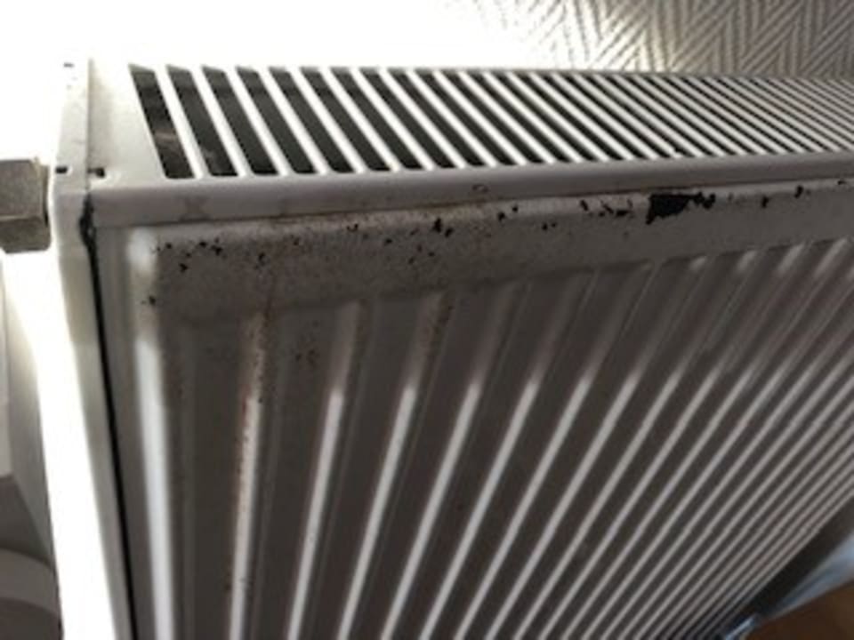 Zimmer Motel Stralsund