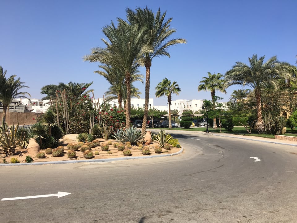 Gartenanlage Steigenberger Coraya Beach - Adults only