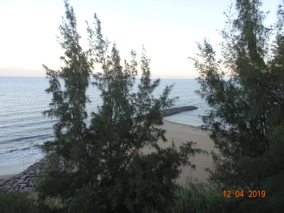 Ausblick Hotel Riu Palace Palmeras