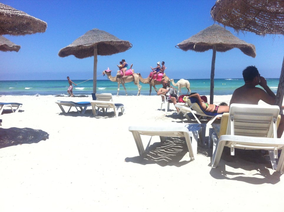 Hotelstrand Djerba Aqua Resort