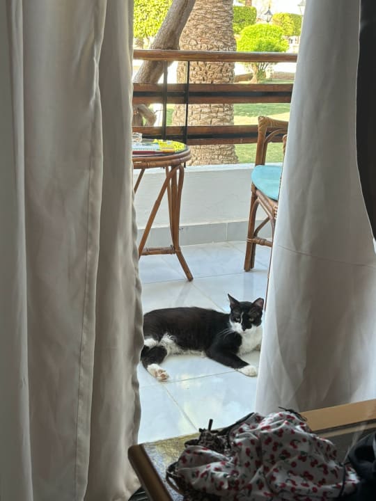 Ausblick The Grand Hotel Hurghada