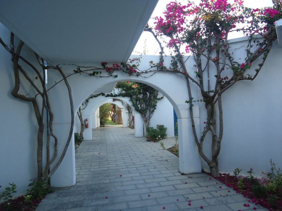 Droga do pokoju TUI KIDS CLUB Alex Beach