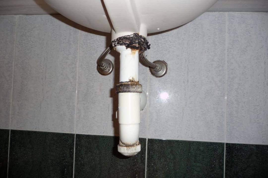 Schimmel am Siphon Zafiro Bahia