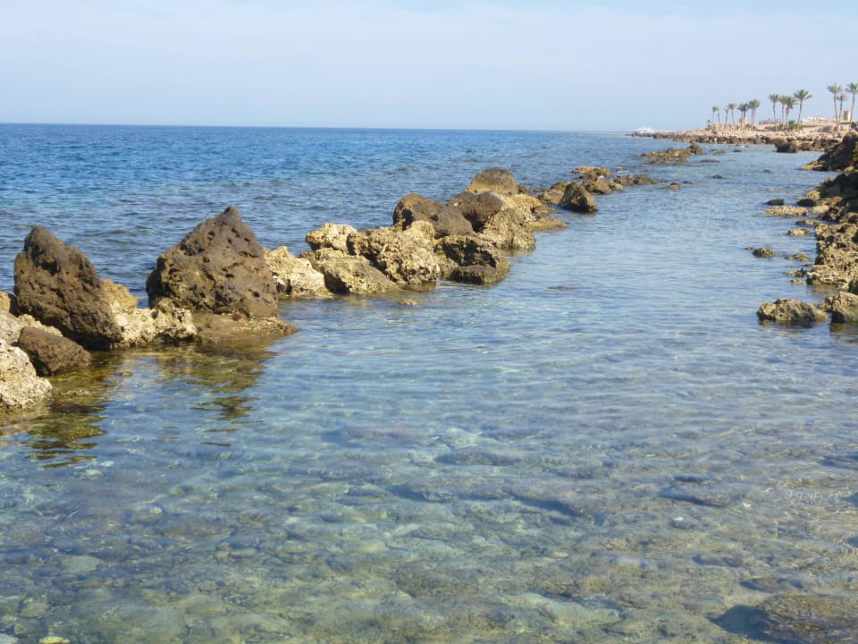 Sea Pickalbatros Citadel Resort