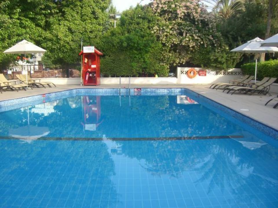 Ruhepool (es gibt auch noch einen Kinderpool) Le Meridien Abu Dhabi Resort