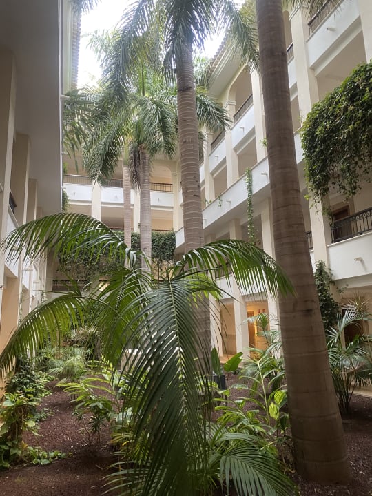 Gartenanlage Gran Melia Palacio de Isora Resort