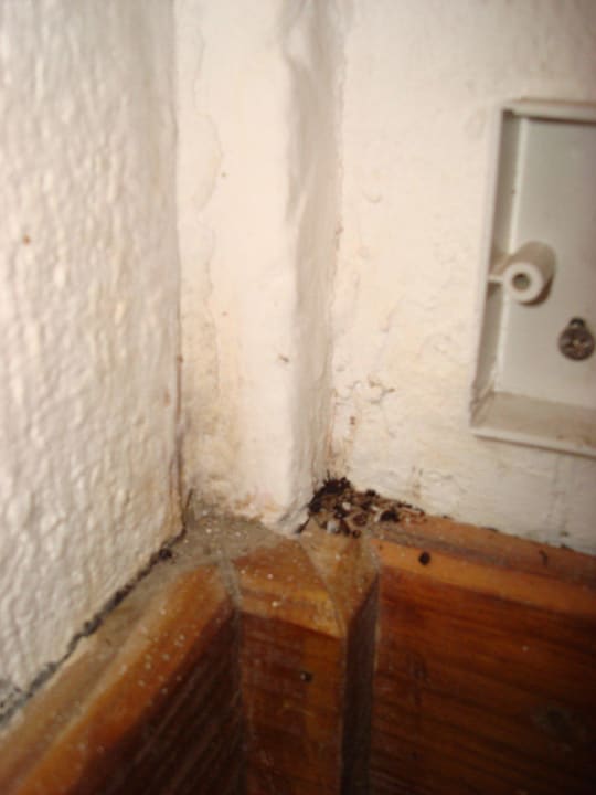 Zimmer 161. Was ist in der Ecke, wissen wir nicht. Eri Maldives