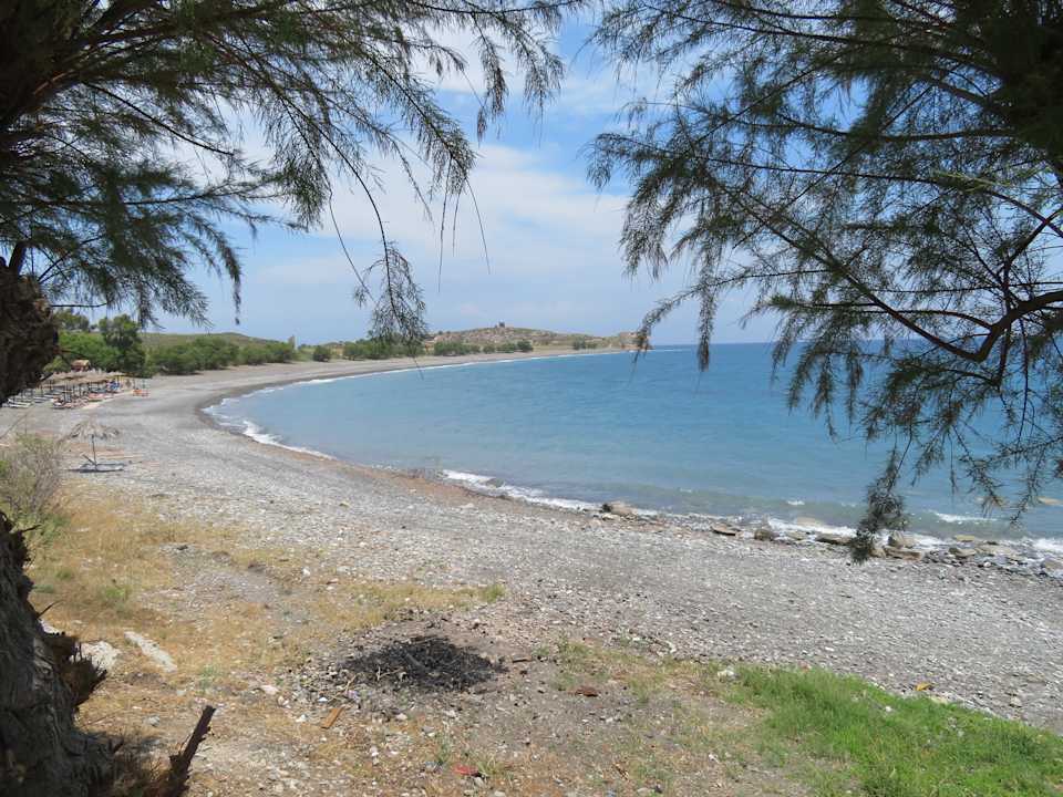 Ausblick Dimitra Beach Hotel & Suites