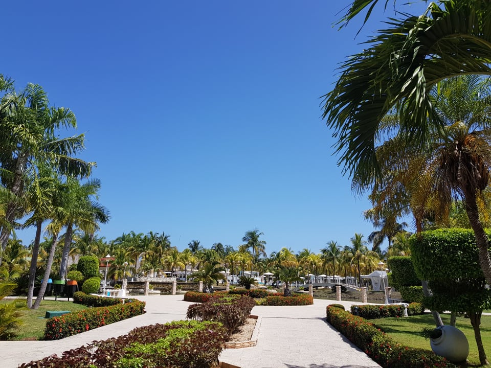 Gartenanlage Melia Las Antillas - Adults only